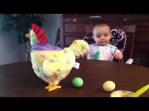 Малыш в шоке от игрушечной курицы, которая несет яйца