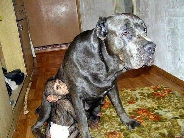 Заботливая мама 