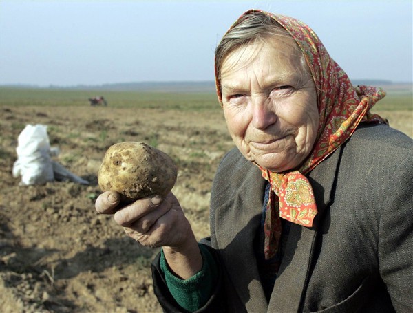 Спина болит