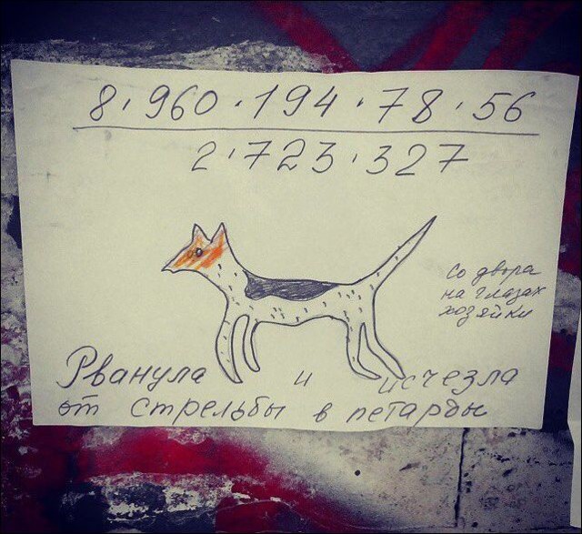 Прикольные надписи и объявления