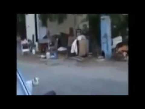Дурак напугал козу прикол