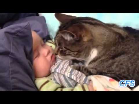 Ах как это мило, кошки и дети