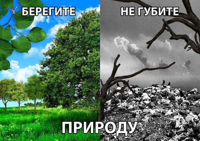 10 обыденных вещей, с помощью которых мы с вами гробим природу
