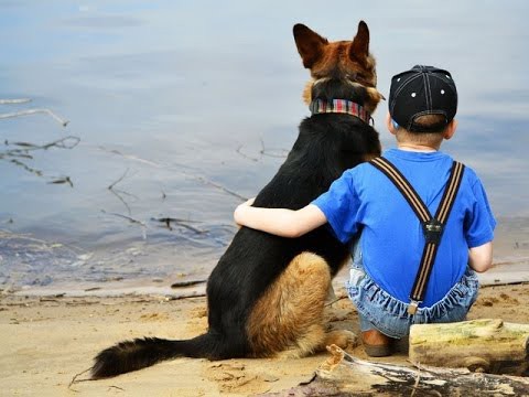 ЯЙЦА в СМЯТКУ