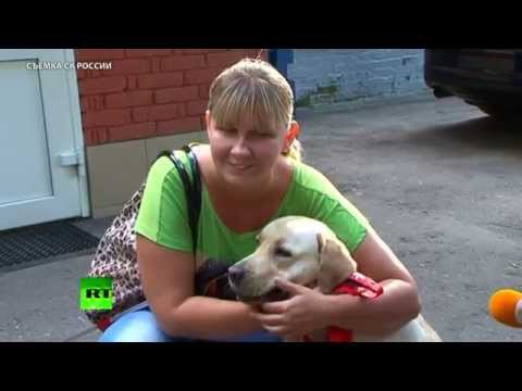 Собаку-поводыря вернули слепой девушке. ВИДЕО
