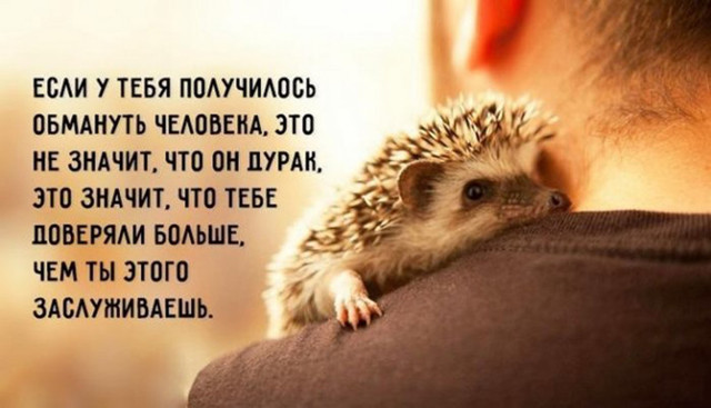 Весёлые советы 