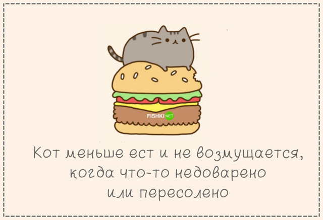 Кот вместо мужа или 16 причин "за"