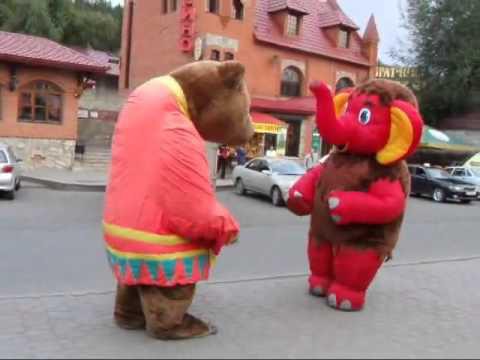 Медведь vs Слон