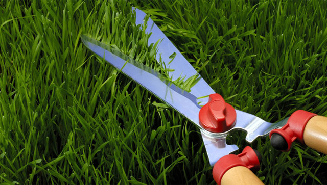 Берегитесь женщин, женщин берегитесь!