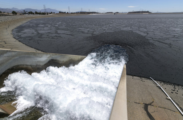 Фото недели