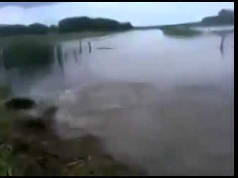  Пришёл однажды на рыбалку, а тут такое