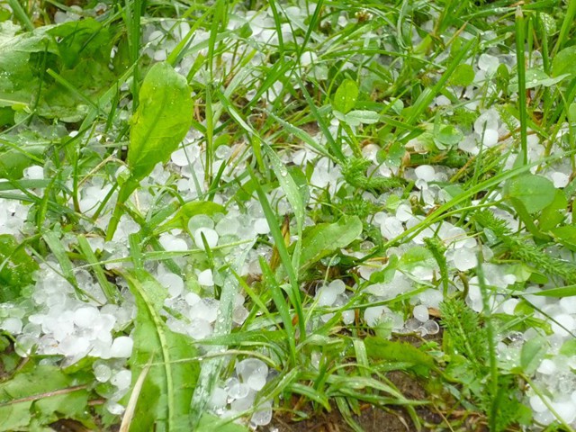 Цепляющие стихи