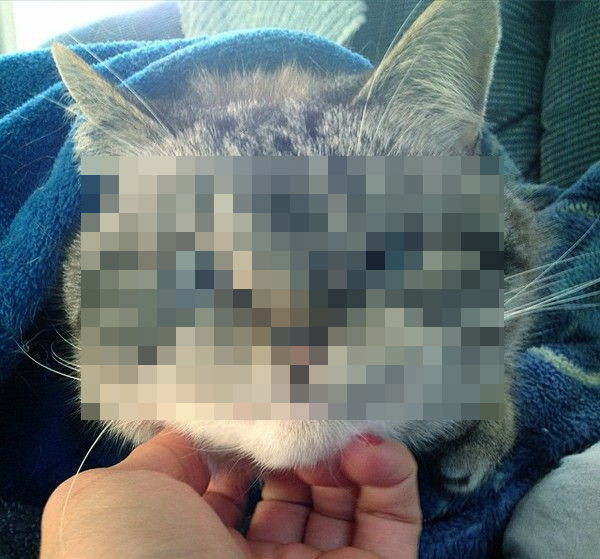 Он недоволен