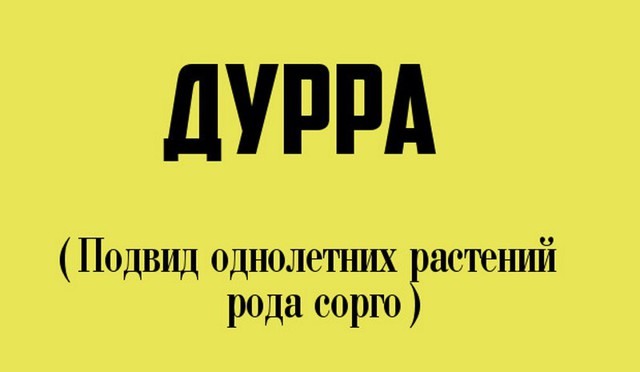 Странные слова, которые и правда есть в русском языке