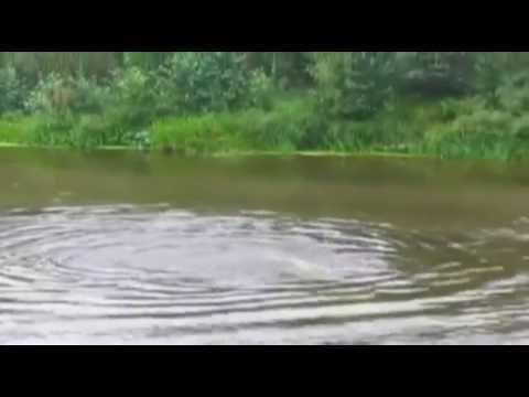 Когда что то коснулось под водой