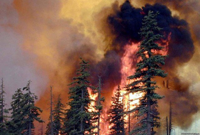 Тайга горит недалеко от жилых домов!