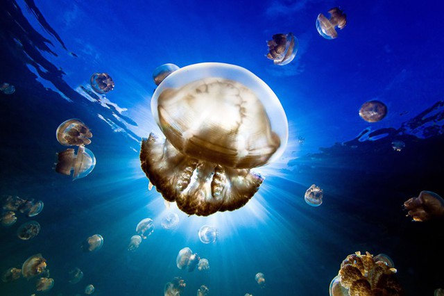 Фото National Geographic