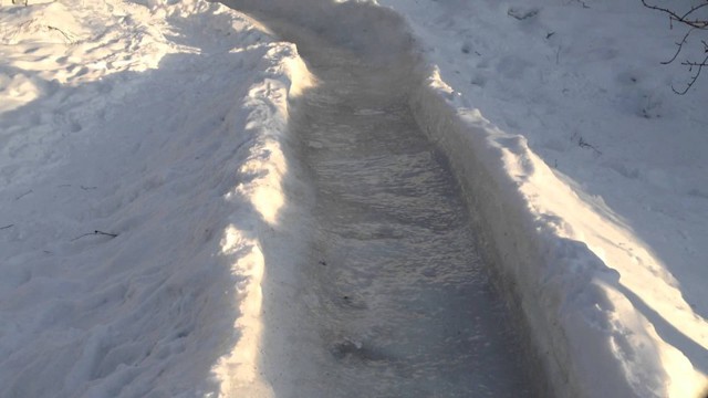  "Двум смертям не бывать"