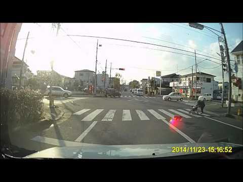 Кошка переводит бабушку через дорогу