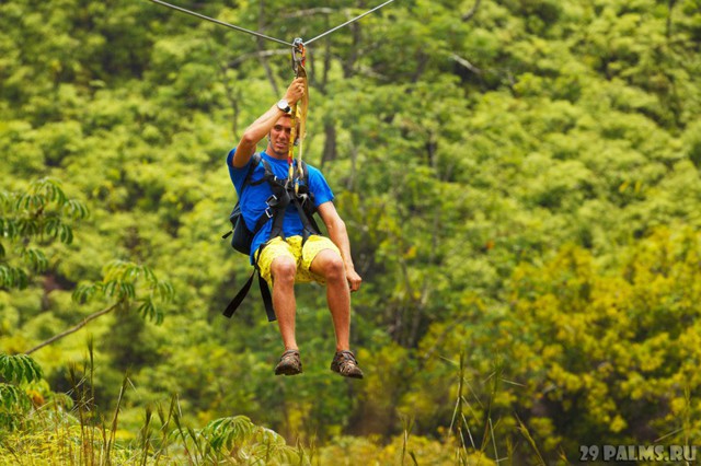 ZipLine: незабываемое приключение