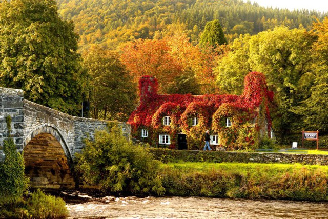 Невероятно красивые дома в любимую осень.  Аж завидно