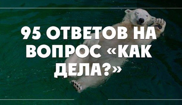Как дела?