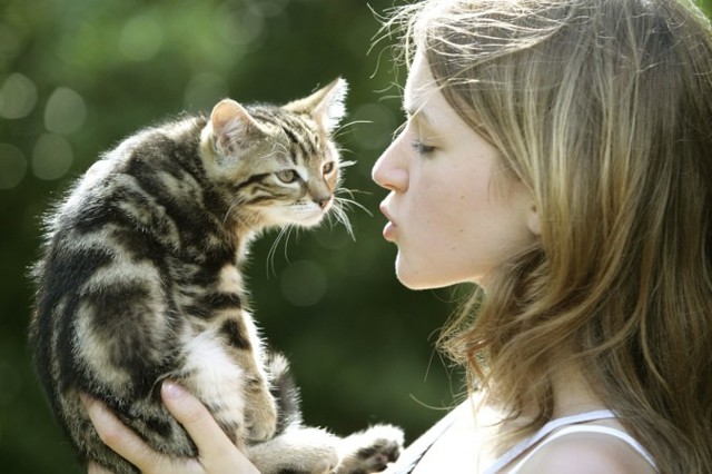 Ученые выяснили, почему кошки гуляют сами по себе