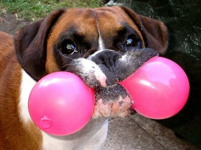 Прикольные картинки