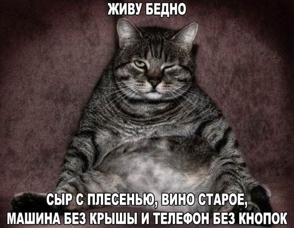  Смешные картинки с надписями