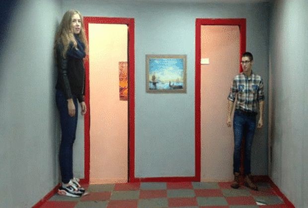 Гифки дня