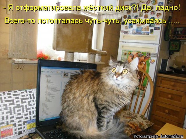 И снова они