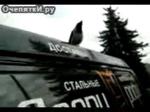 Кукарекающая ворона, кудахчущий ворон