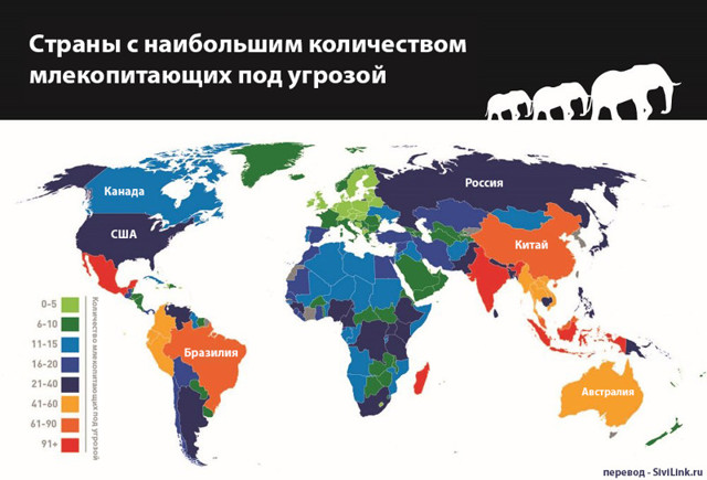 Вымирающие млекопитающие