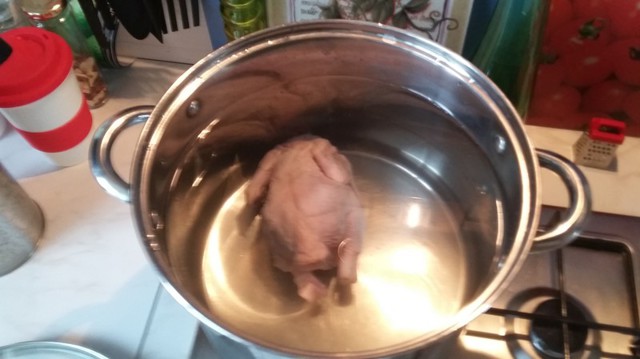 Уха из петуха