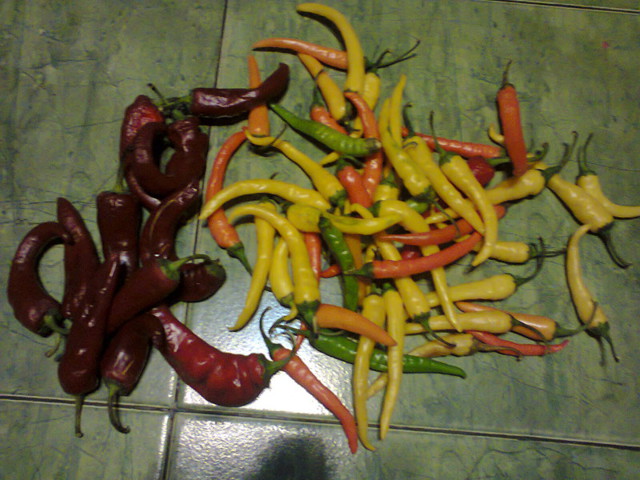 Любителям острого 