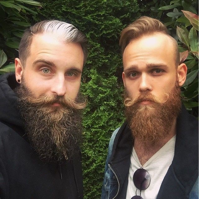 Эти двое парней превратили свои бороды в предмет искусства 
