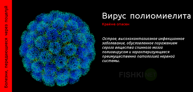 Болезни, передающиеся через поцелуй