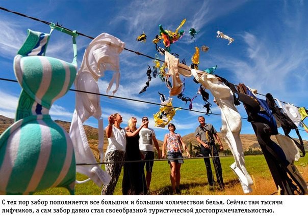 Самый странный и необычный забор в мире