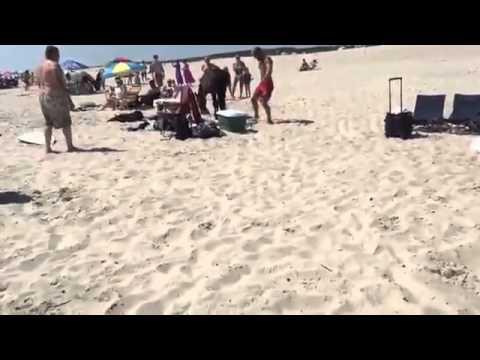 Лошадь на пляже