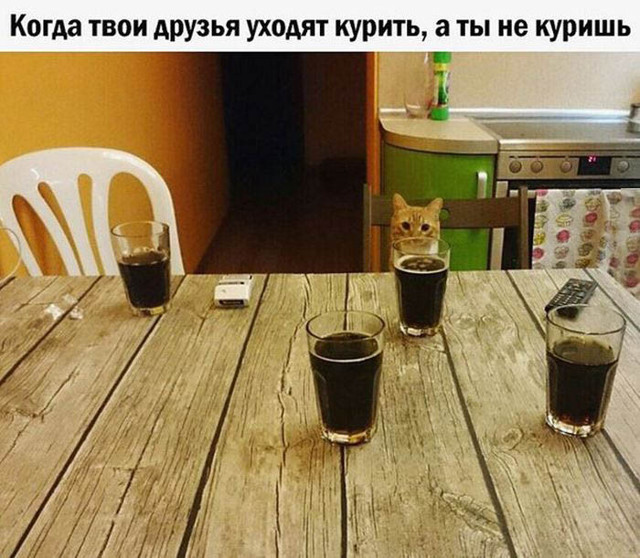 Прикольные картинки