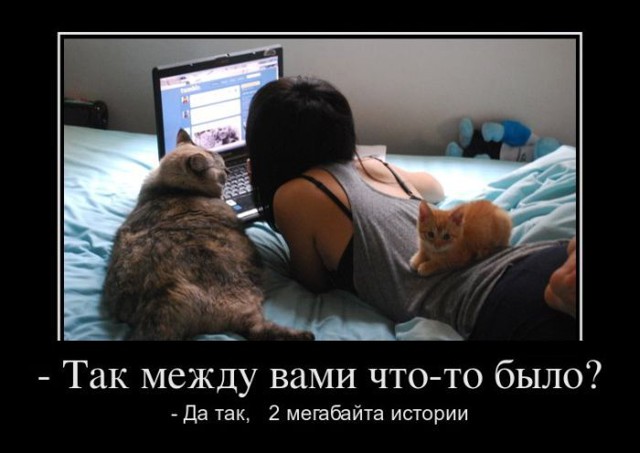 Подборка демотиваторов, которые поднимут вам настроение!