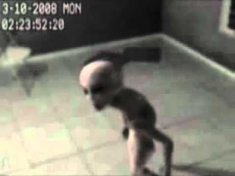  10 фактов о зоне 51