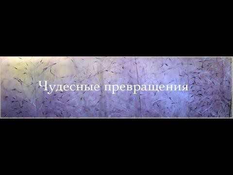Чудесное превращение