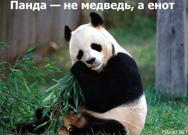 Интересные факты!