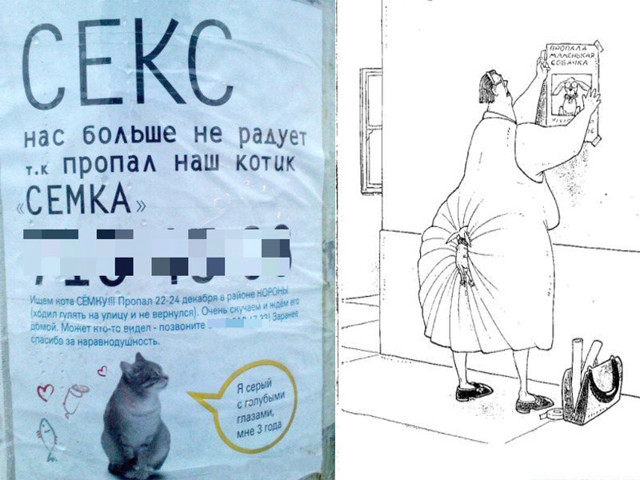 Остроумные объявления о пропаже животных, которые заставят улыбнуться 