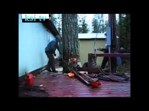 Чётко спилил дерево
