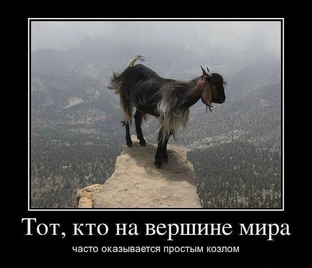 Прикольные демотиваторы