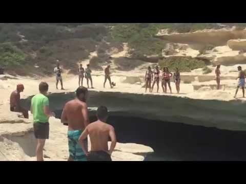 Cобака прыгает в воду 
