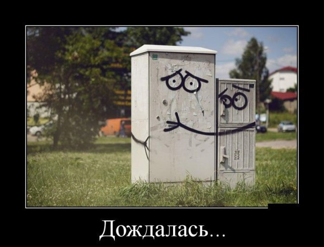 Дождалась