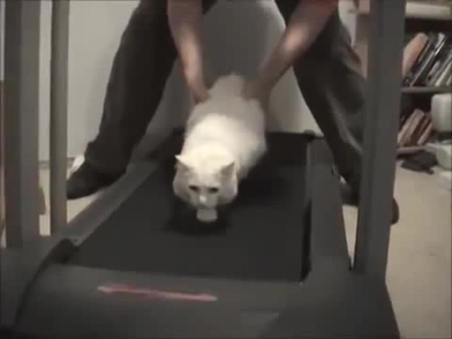 КУбики